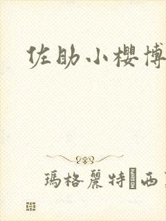 佐助小樱博人传