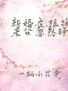 新婚夜,植物人老公忽然睁开眼笔趣阁