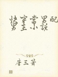 快穿当男配掰弯男主小说