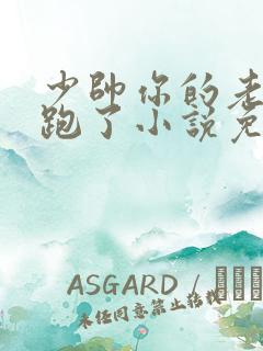 少帅你的老婆又跑了小说免费阅读