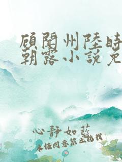 顾闻州陆时雨秦朝露小说免费阅读