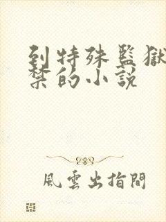 到特殊监狱被囚禁的小说