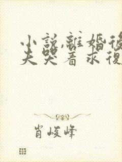 小说,离婚后前夫哭着求复婚