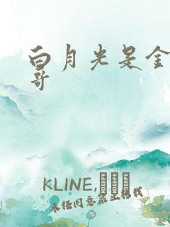 白月光是金主他哥