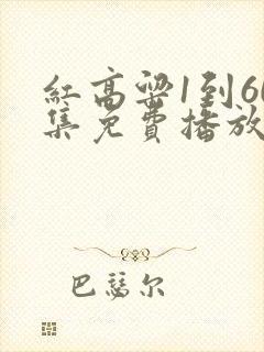 红高粱1到60集免费播放