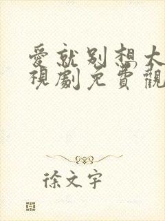 爱就别想太多电视剧免费观看全集