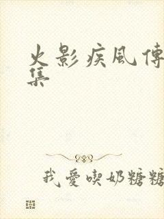 火影疾风传多少集