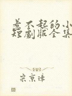 惹不起的小赘婿短剧版全集完整版在线观看