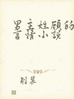 男主姓顾的现代言情小说