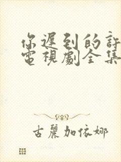 你迟到的许多年电视剧全集免费播放