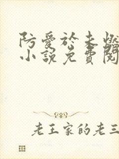 防爱于未燃gl小说免费阅读