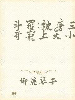 斗罗:被唐三哥哥宠上天小说