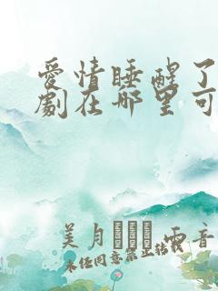 爱情睡醒了电视剧在哪里可以看