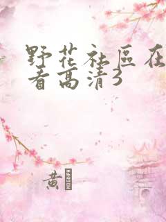 野花社区在线观看高清3