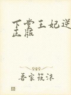 下堂王妃逆袭记正版