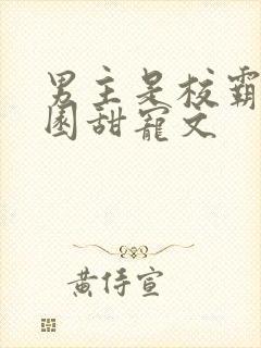 男主是校霸的校园甜宠文