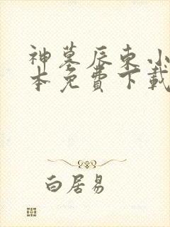神墓辰东小说全本免费下载