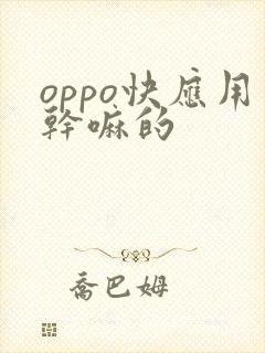 oppo快应用干嘛的