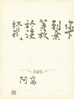 终于等到你还好我没放弃下一句是什么