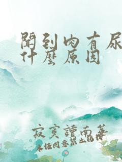 闻到肉有尿骚味什么原因