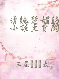 清纯楚媚的快穿小说免费阅读