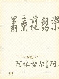 男主前期温柔后期黑化的小说