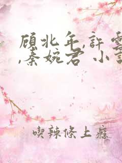 顾北年,许云卿,秦婉君 小说名