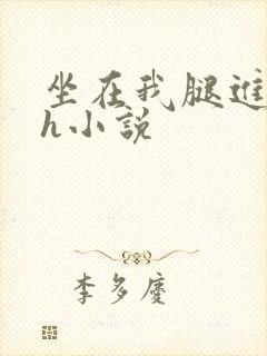 坐在我腿进去了h小说