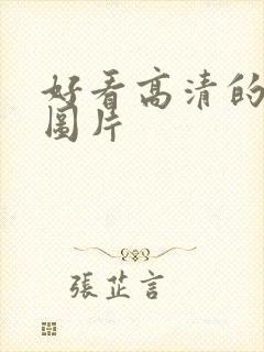 好看高清的背景图片