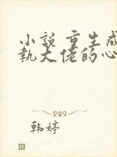 小说 重生成偏执大佬的心上人