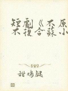 短剧《不原谅,不复合苏小姐独美》