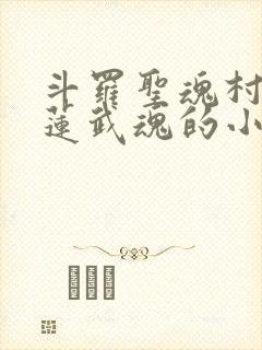 斗罗圣魂村,青莲武魂的小说