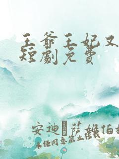 王爷王妃又演上短剧免费