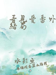 看见爱番外篇大结局