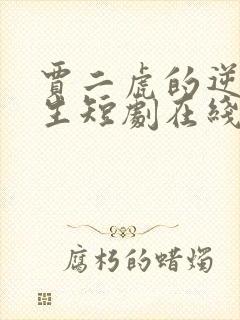 贾二虎的逆袭人生短剧在线