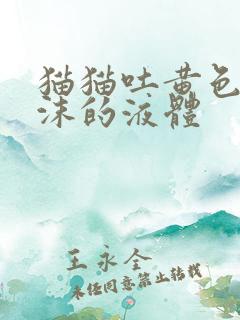 猫猫吐黄色带泡沫的液体