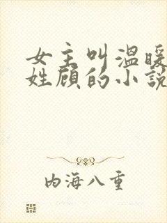 女主叫温暖男主姓顾的小说