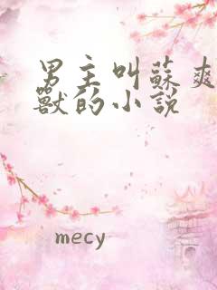 男主叫苏爽打异兽的小说