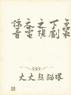 锦衣之下免费观看电视剧策驰