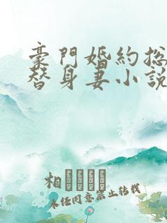 豪门婚约总裁的替身妻小说全文