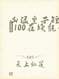 凶猛皇子短剧1–100在线观看