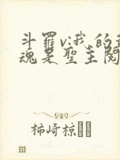 斗罗v:我的武魂是圣主阅读