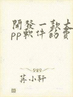 开发一款大型app软件的费用