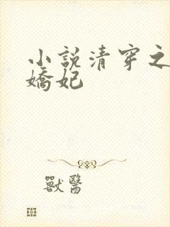 小说清穿之太子娇妃