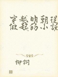 穿越明朝从流民做起的小说