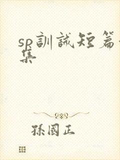 sp训诫短篇合集