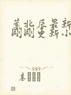 叶北辰最新章节刚刚更新小说全文阅读