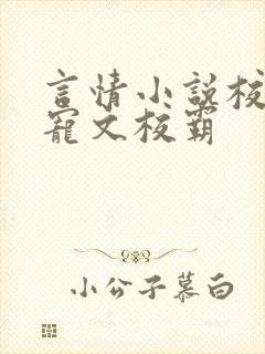 言情小说校园甜宠文校霸