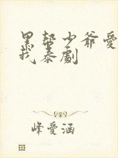 黑帮少爷爱上了我泰剧