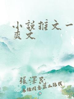 小说推文一口气爽文